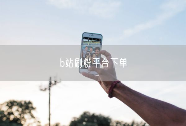 b站刷粉平台下单
