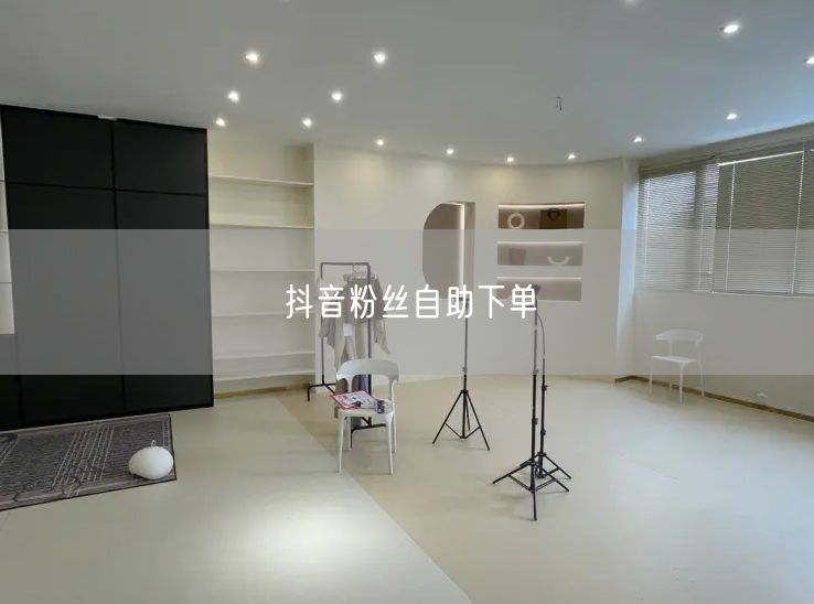 抖音粉丝自助下单