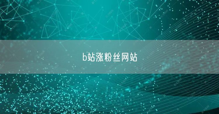 b站涨粉丝网站