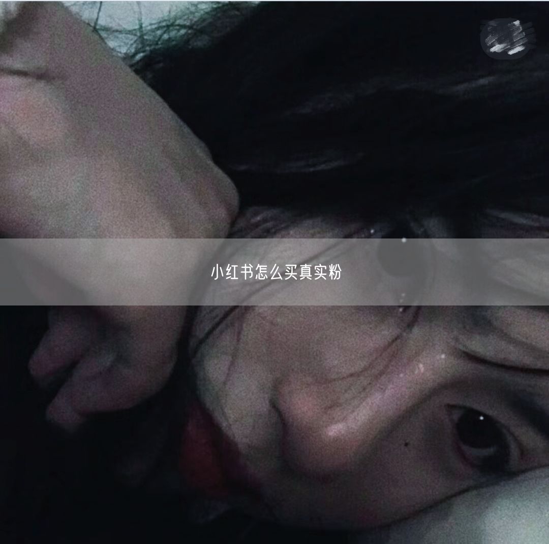 小红书怎么买真实粉