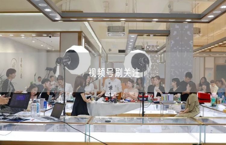视频号刷关注
