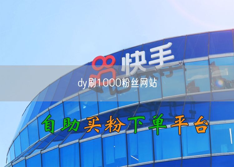 dy刷1000粉丝网站