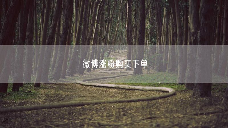 微博涨粉购买下单