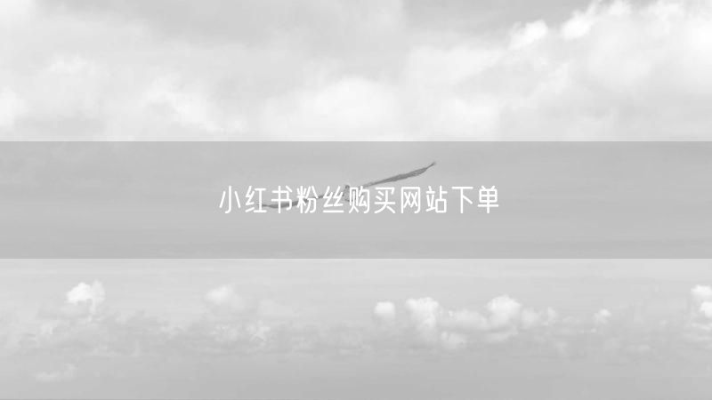 小红书粉丝购买网站下单