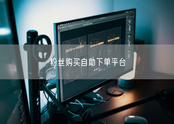粉丝购买自助下单平台