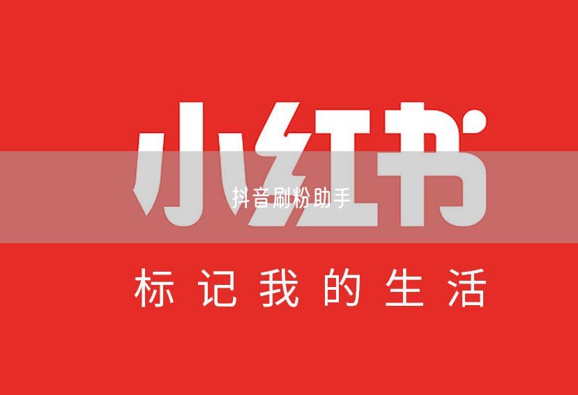抖音刷粉助手