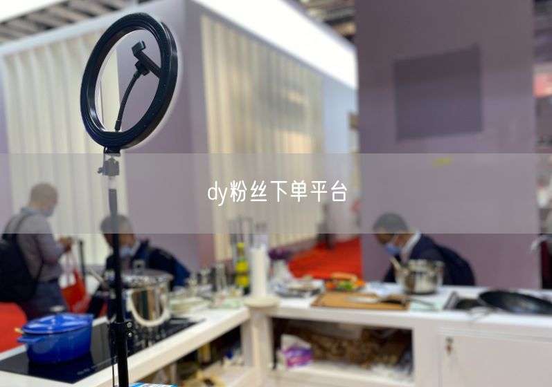 dy粉丝下单平台