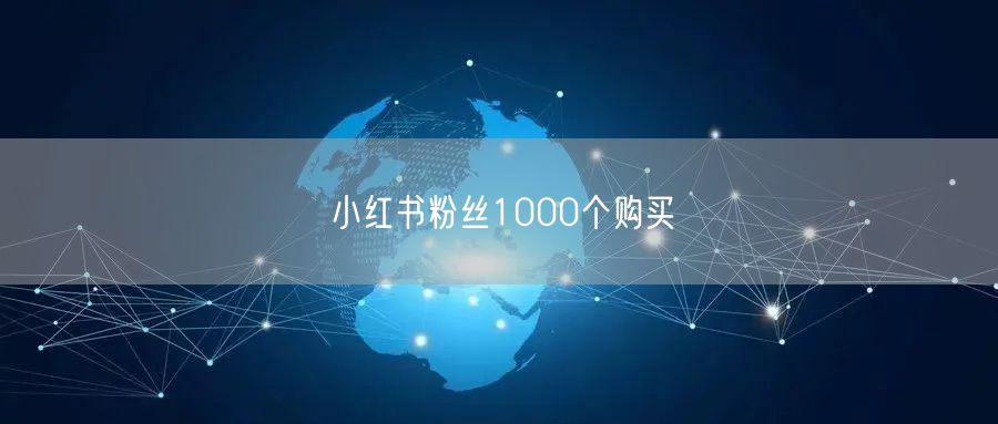 小红书粉丝1000个购买