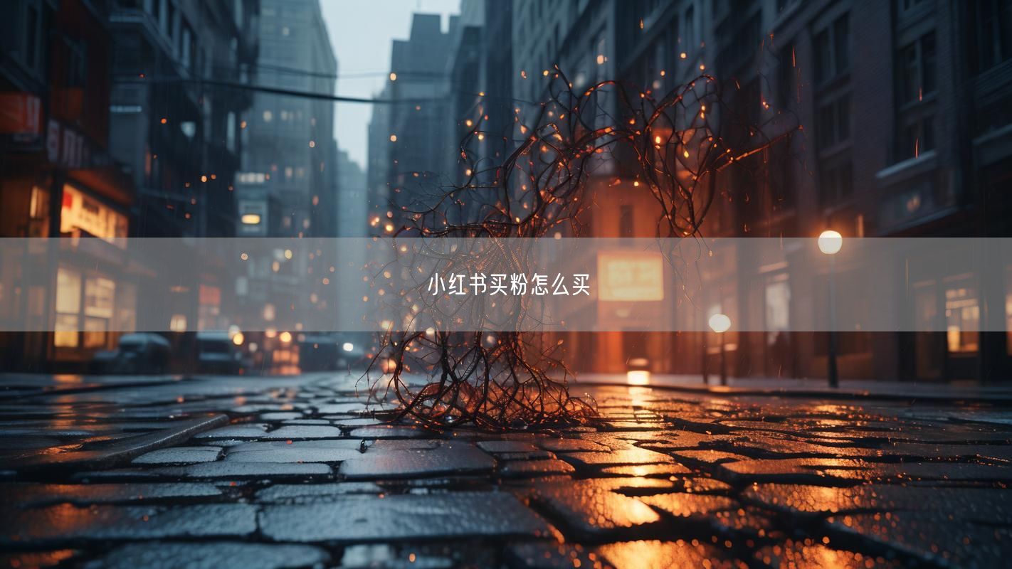 小红书买粉怎么买