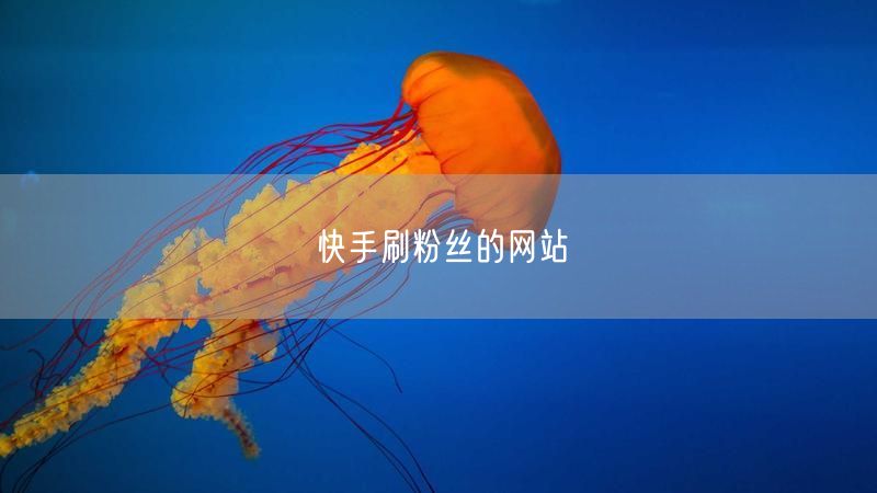 快手刷粉丝的网站