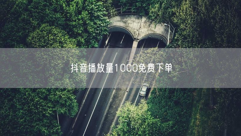 抖音播放量1000免费下单