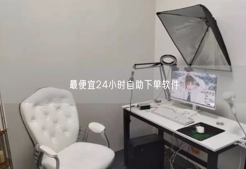 最便宜24小时自助下单软件