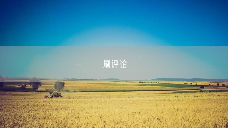 刷评论
