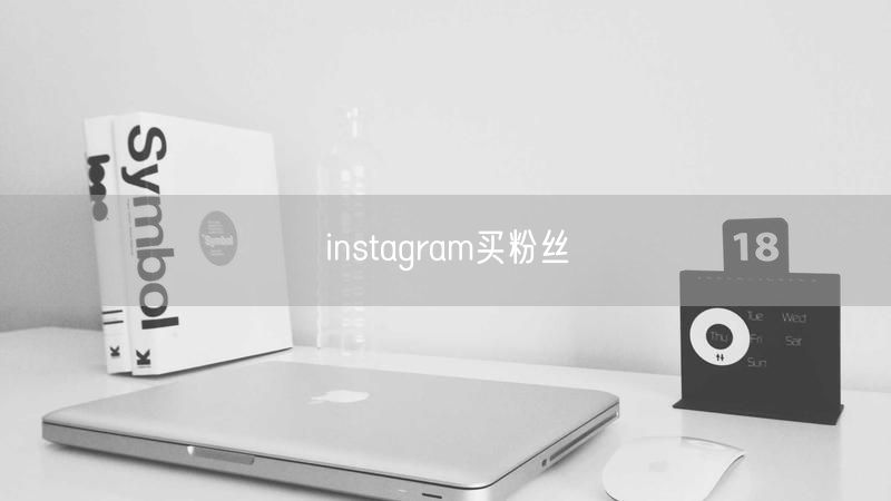 instagram买粉丝