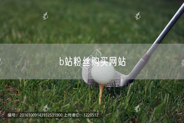 b站粉丝购买网站