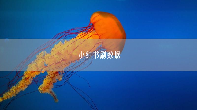 小红书刷数据