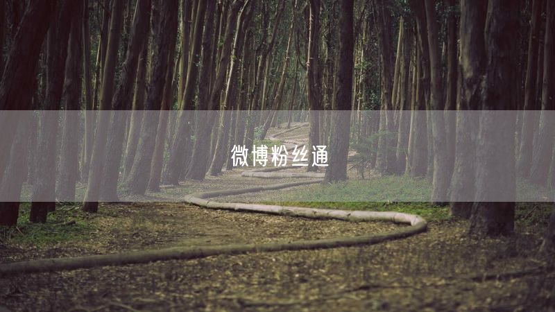 微博粉丝通