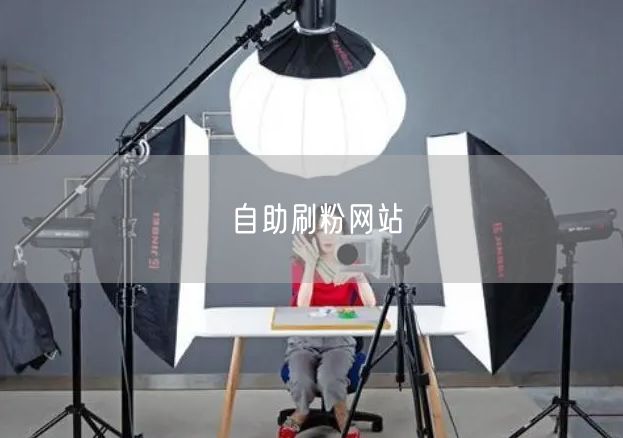 自助刷粉网站