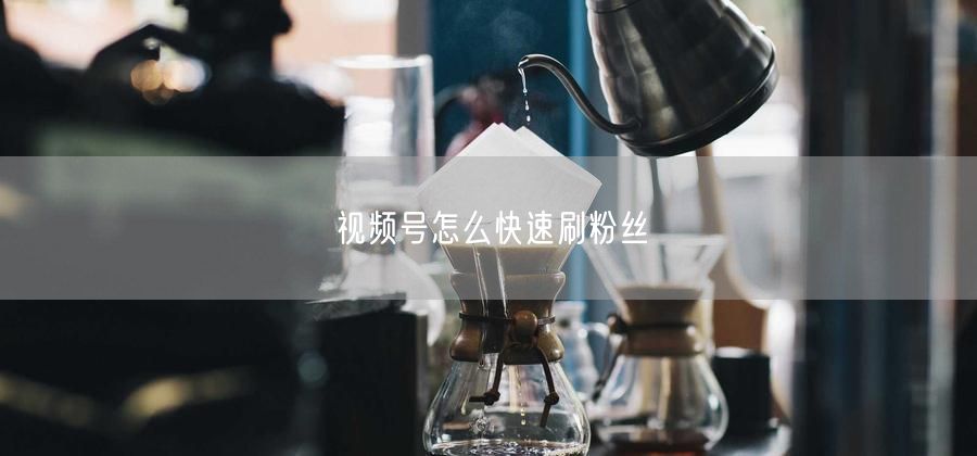 视频号怎么快速刷粉丝