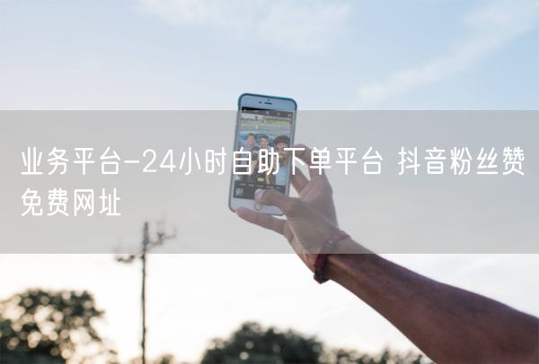 业务平台-24小时自助下单平台 抖音粉丝赞免费网址