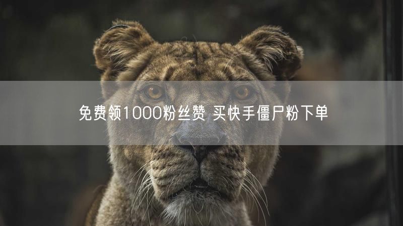 免费领1000粉丝赞 买快手僵尸粉下单