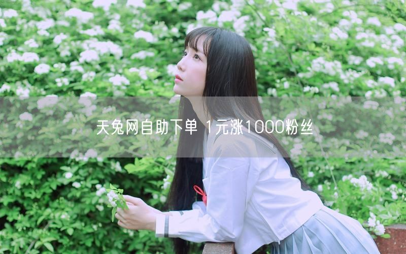 天兔网自助下单 1元涨1000粉丝