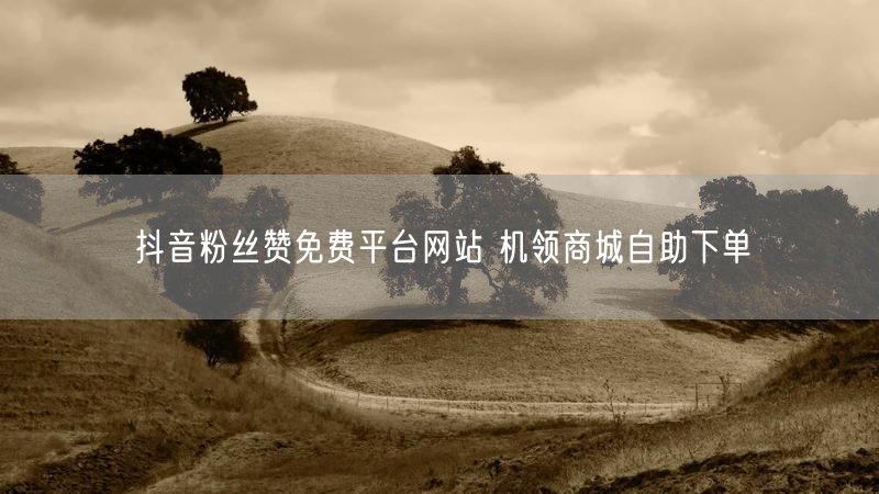 抖音粉丝赞免费平台网站 机领商城自助下单