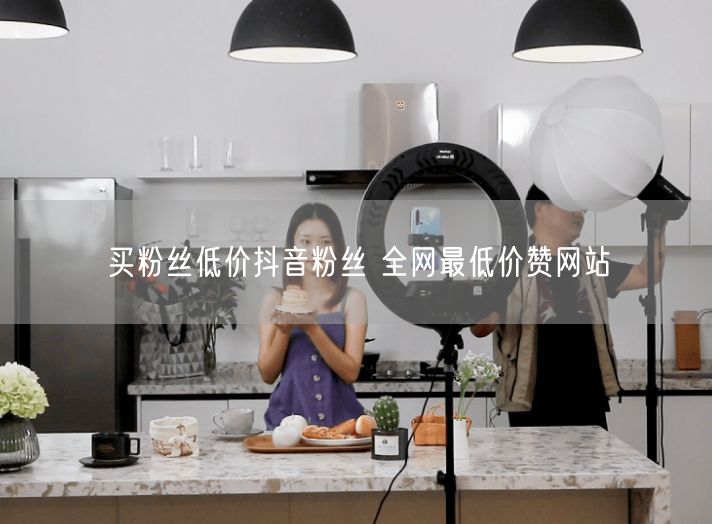 买粉丝低价抖音粉丝 全网最低价赞网站