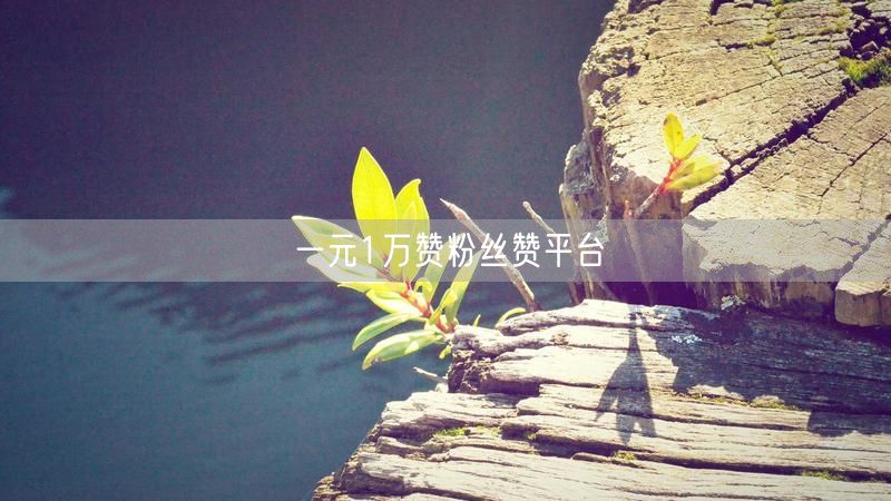 一元1万赞粉丝赞平台