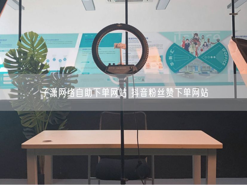 子潇网络自助下单网站 抖音粉丝赞下单网站
