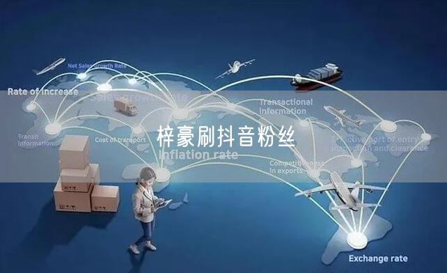 梓豪刷抖音粉丝