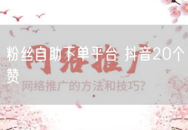 粉丝自助下单平台 抖音20个赞