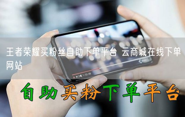王者荣耀买粉丝自助下单平台 云商城在线下单网站