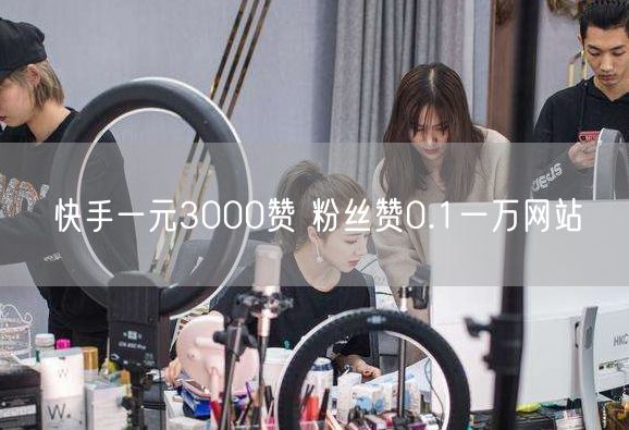 快手一元3000赞 粉丝赞0.1一万网站