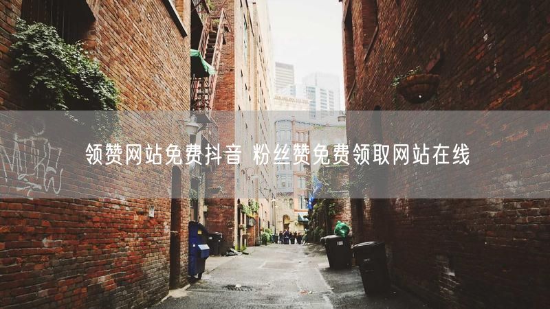 领赞网站免费抖音 粉丝赞免费领取网站在线
