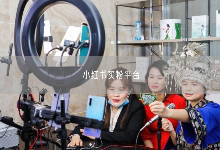 小红书买粉平台