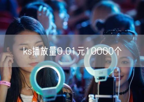 ks播放量0.01元10000个