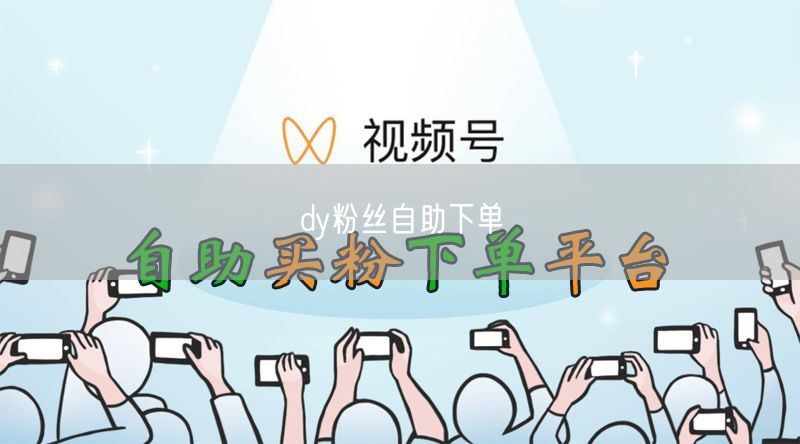dy粉丝自助下单
