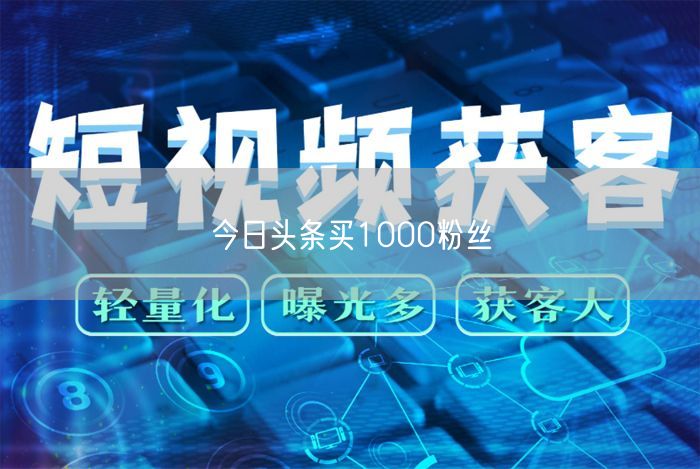 今日头条买1000粉丝
