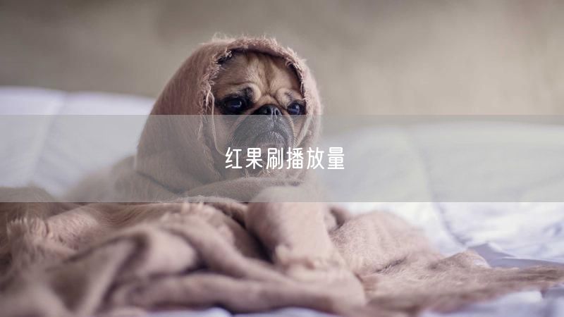 红果刷播放量