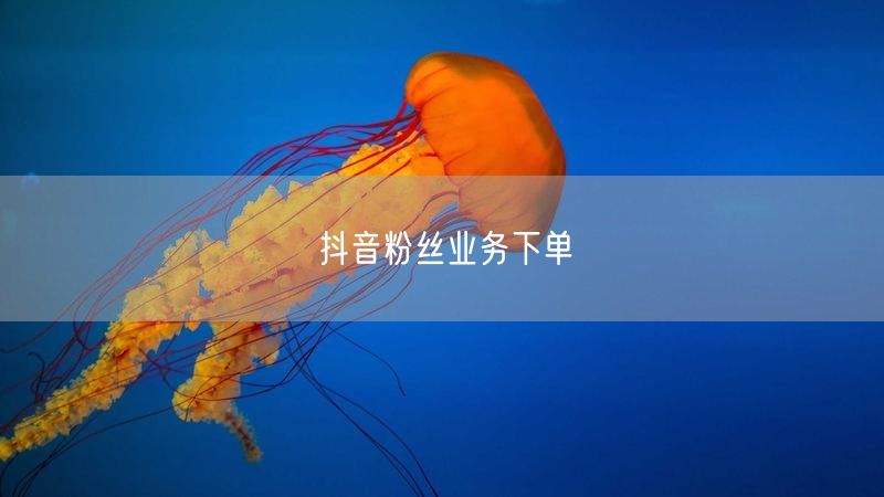 抖音粉丝业务下单