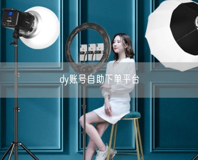 dy账号自助下单平台