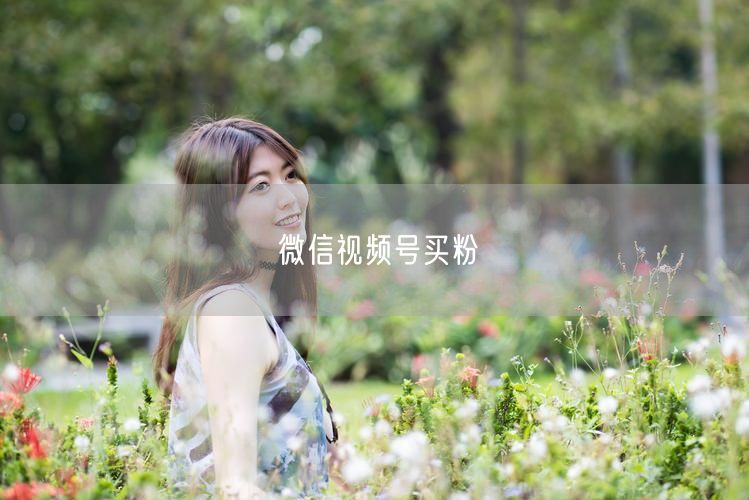 微信视频号买粉