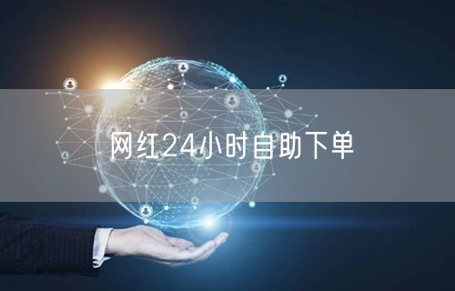 网红24小时自助下单