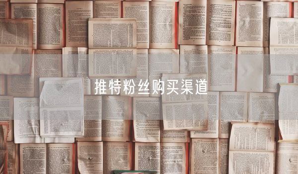 推特粉丝购买渠道