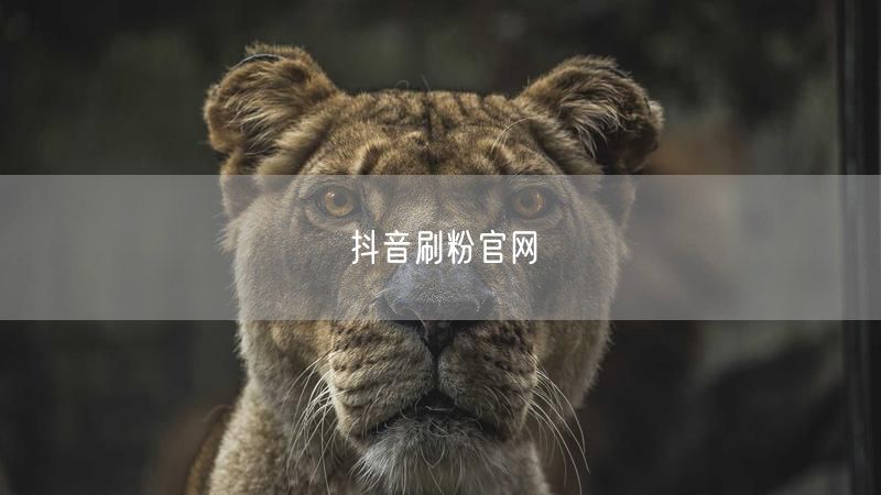 抖音刷粉官网