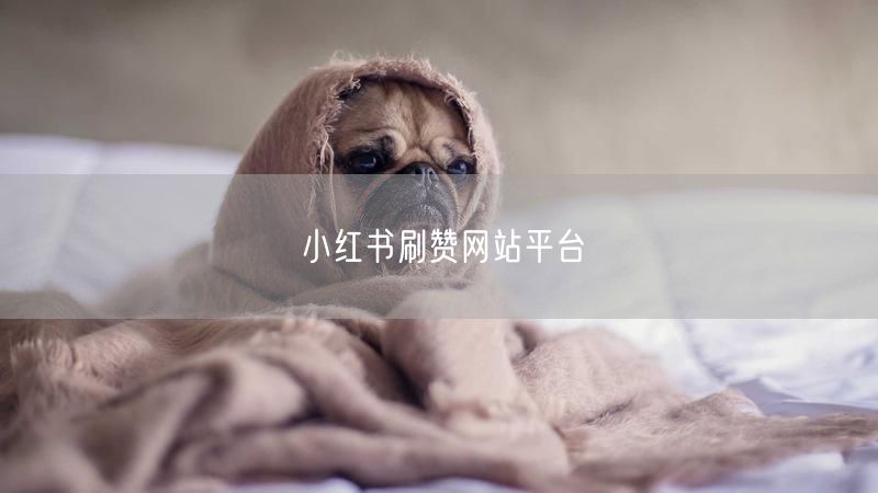 小红书刷赞网站平台