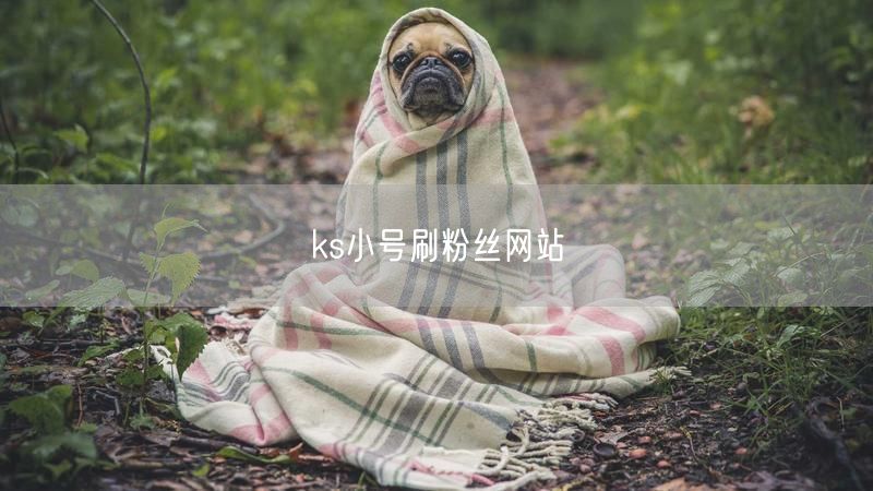 ks小号刷粉丝网站