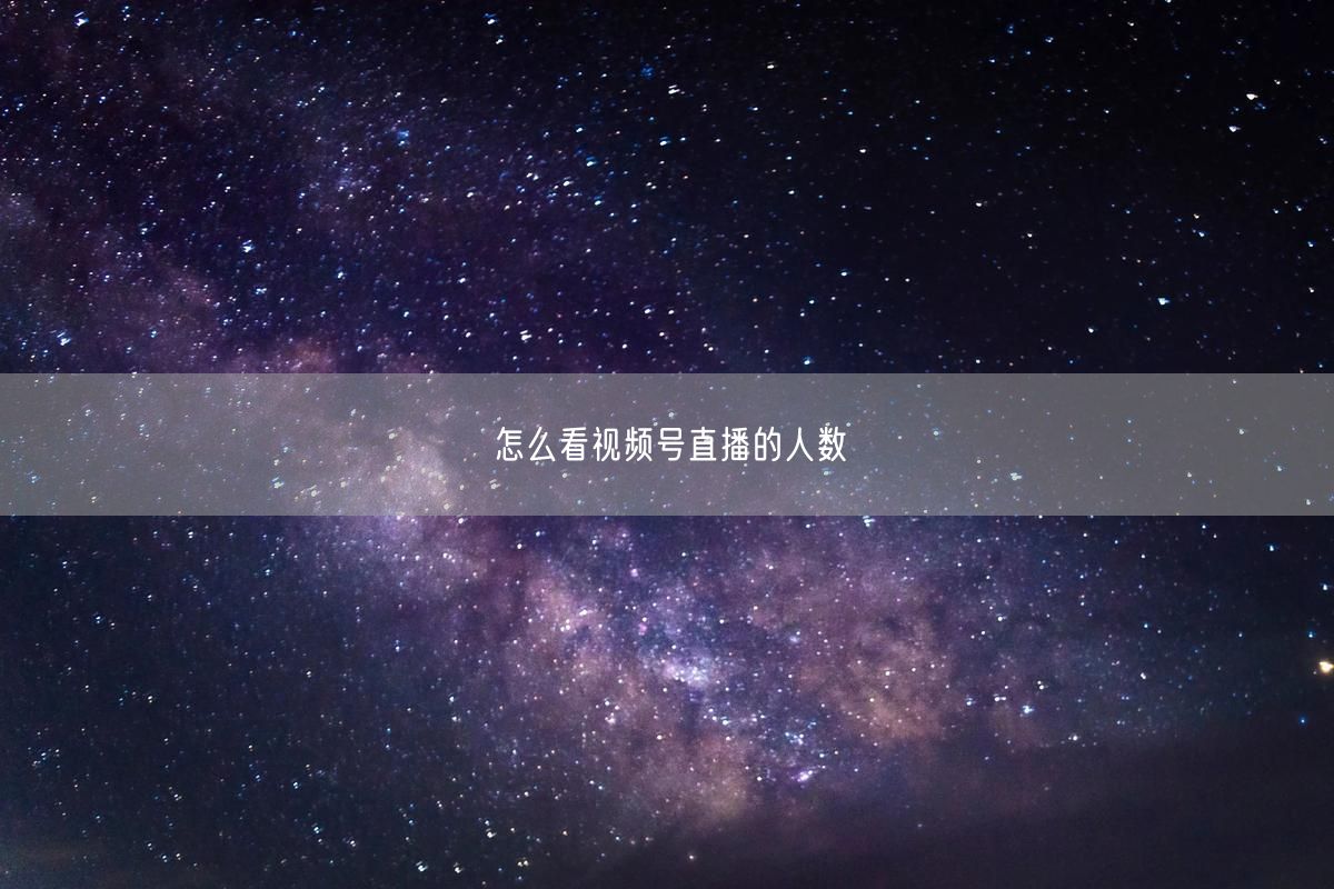 怎么看视频号直播的人数