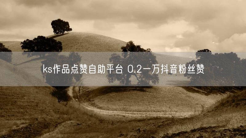 ks作品点赞自助平台 0.2一万抖音粉丝赞